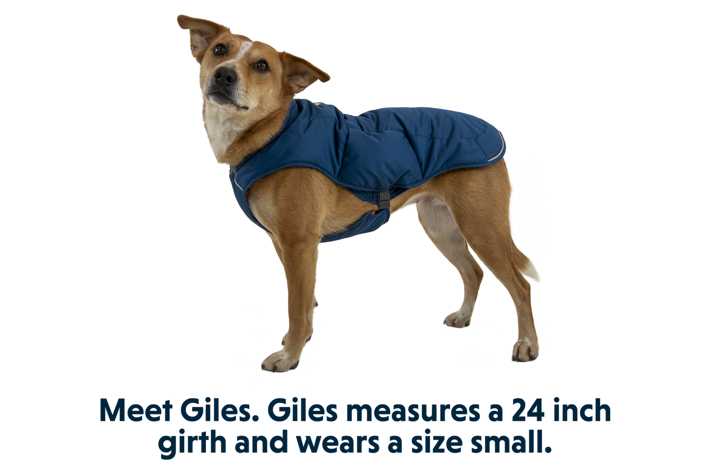 Quinzee™ Dog Vest