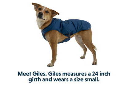 Quinzee™ Dog Vest