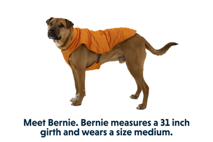 Quinzee™ Dog Vest