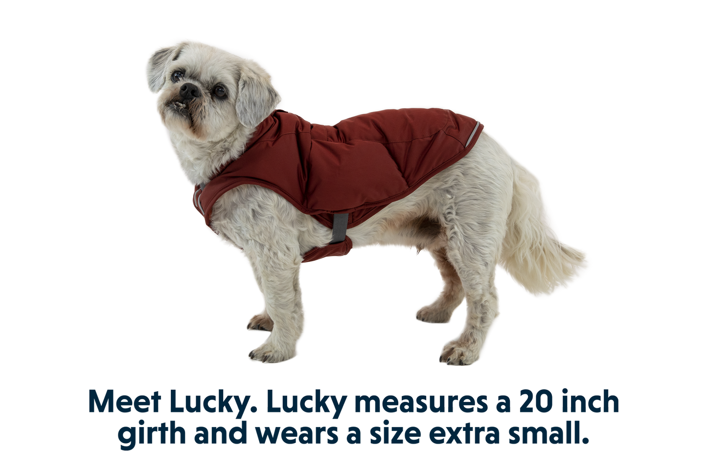 Quinzee™ Dog Vest