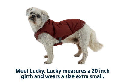 Quinzee™ Dog Vest