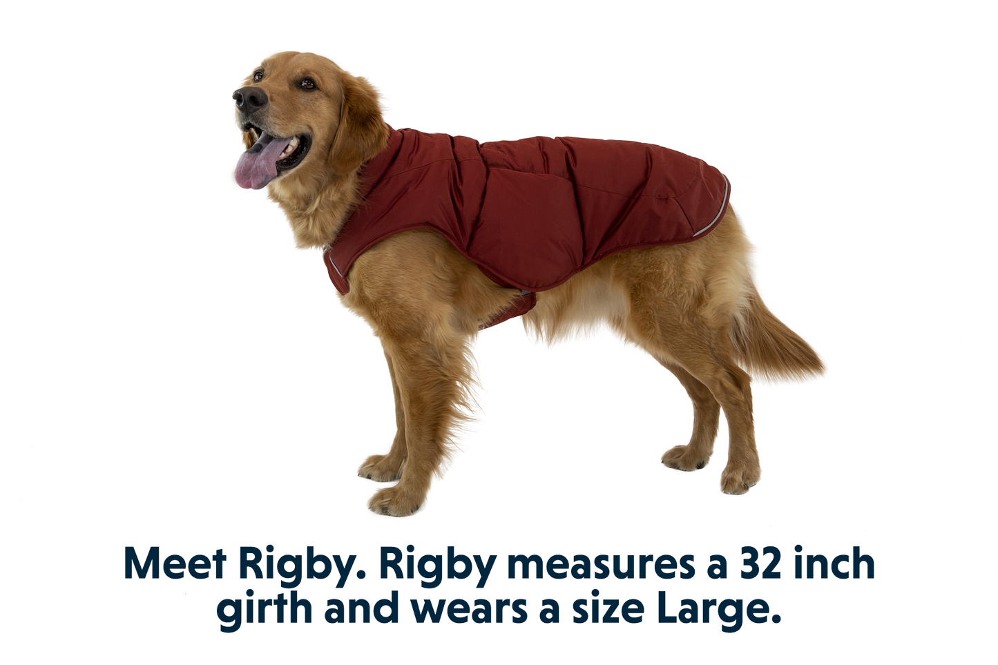 Quinzee™ Dog Vest