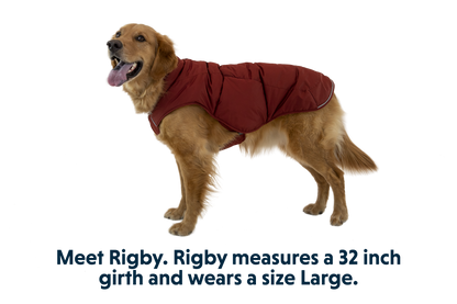 Quinzee™ Dog Vest