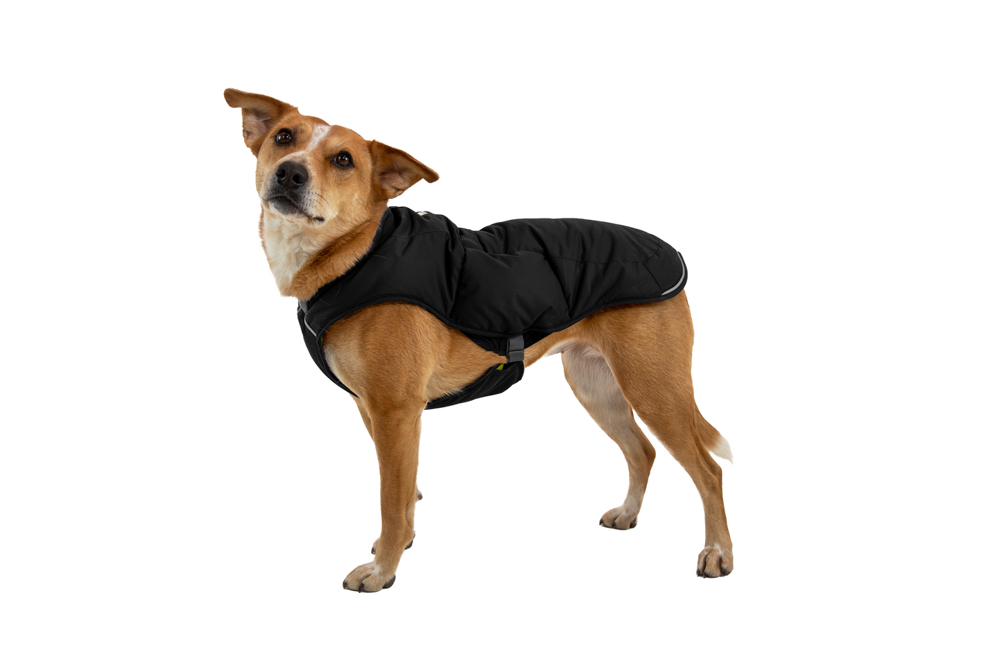 Quinzee™ Dog Vest