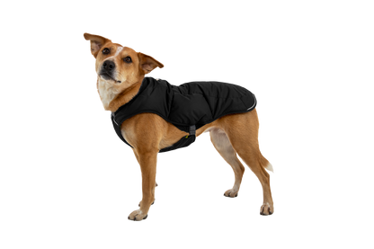 Quinzee™ Dog Vest