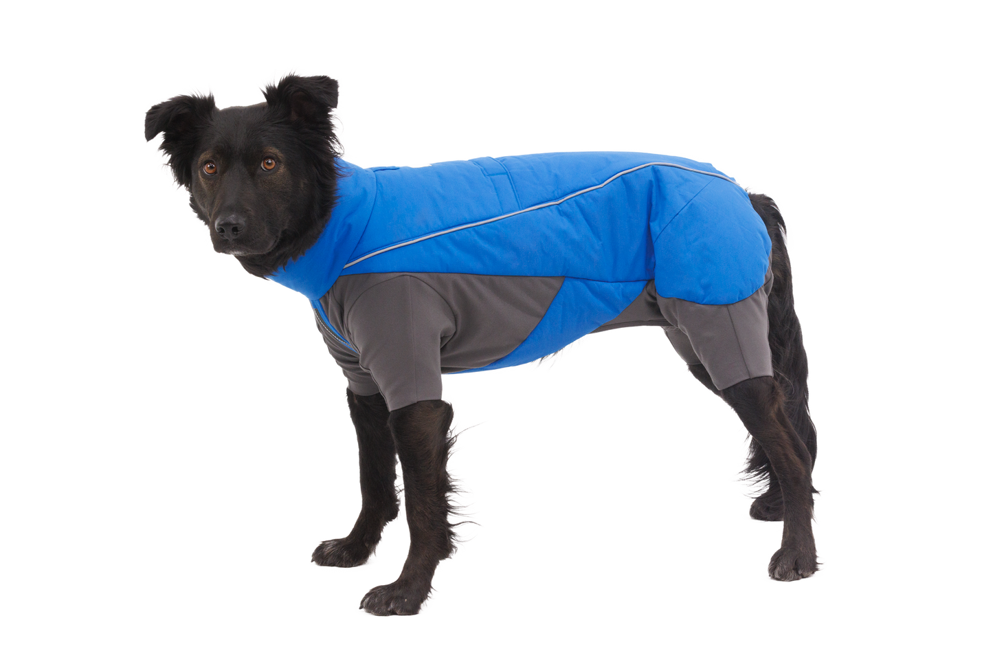 Vert™ Coverall Dog Snow Suit