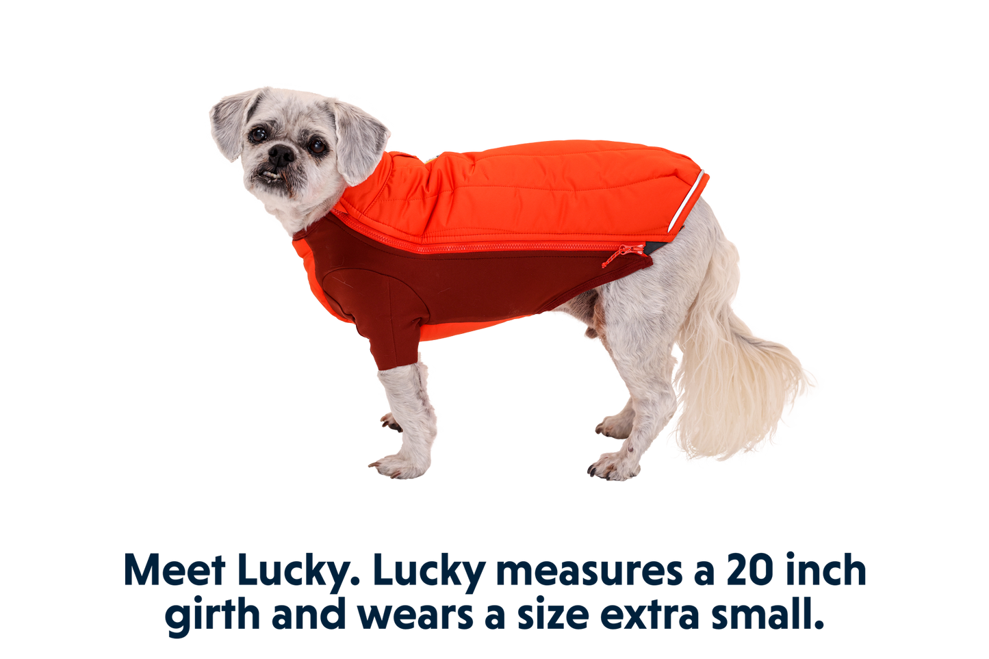 Powder Hound™ Dog Jacket