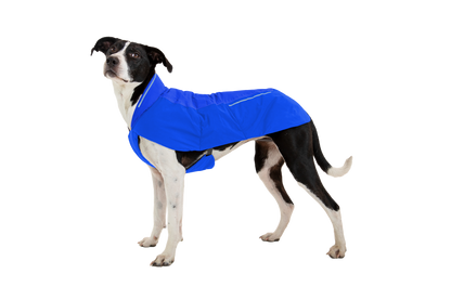 Vert™ Dog Vest