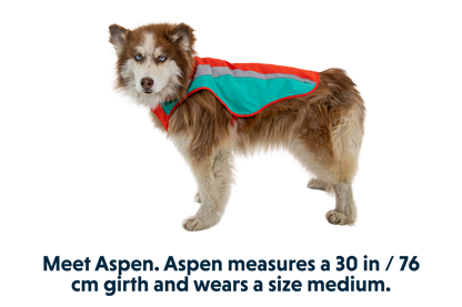 Lumenglow™ Hi-Vis Dog Vest