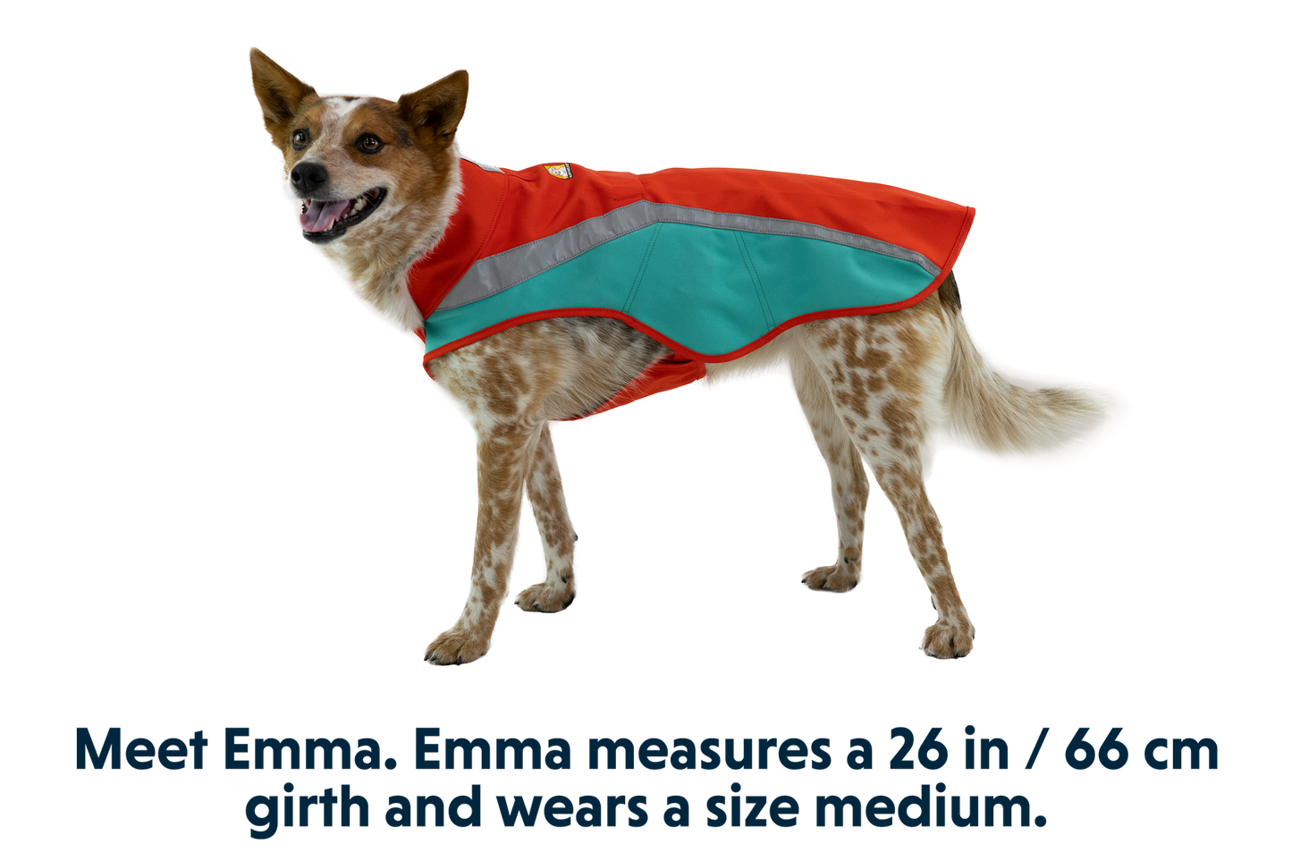 Lumenglow™ Hi-Vis Dog Vest