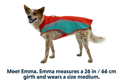 Lumenglow™ Hi-Vis Dog Vest