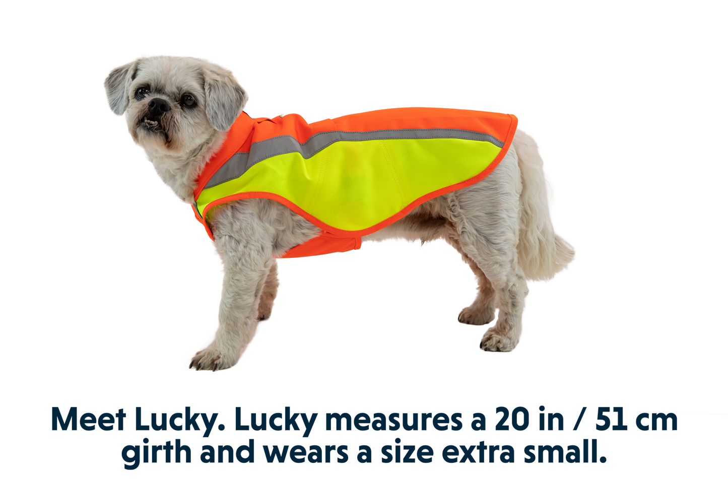 Lumenglow™ Hi-Vis Dog Vest