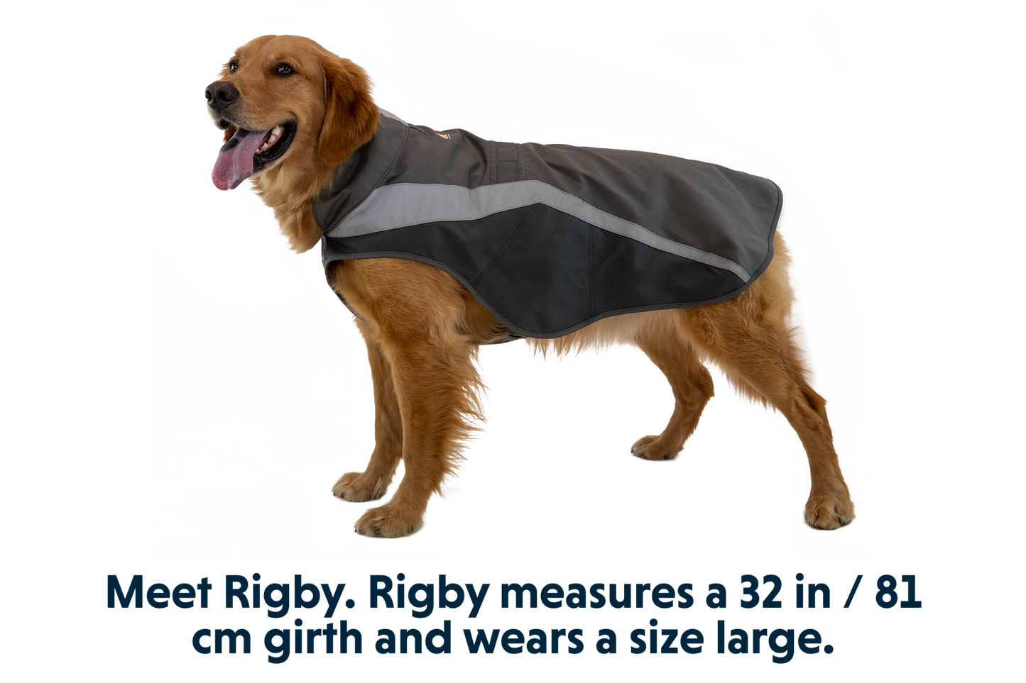 Lumenglow™ Hi-Vis Dog Vest