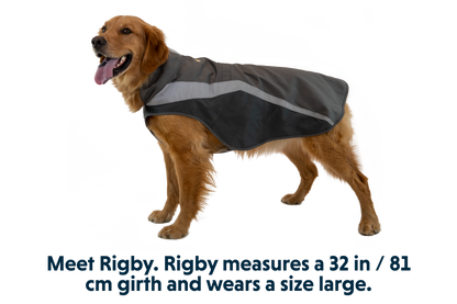 Lumenglow™ Hi-Vis Dog Vest