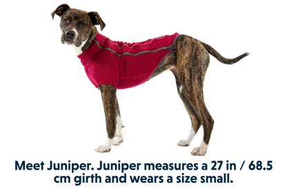 Fernie™ Dog Sweater