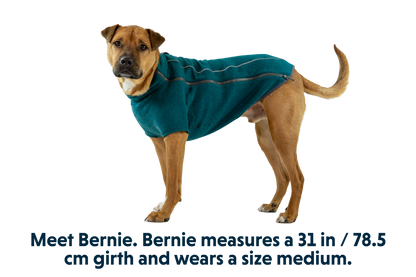Fernie™ Dog Sweater