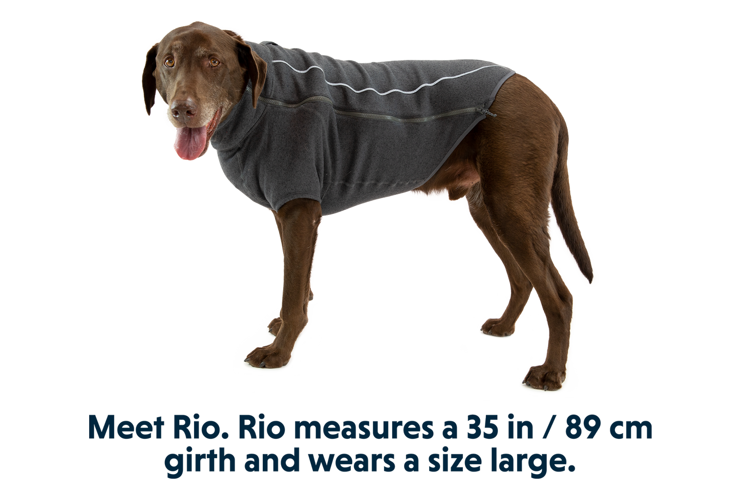 Fernie™ Dog Sweater