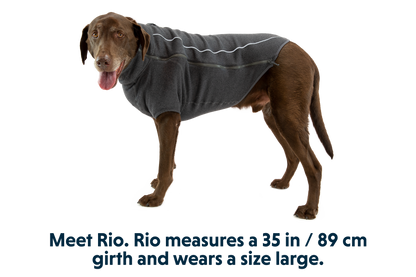 Fernie™ Dog Sweater