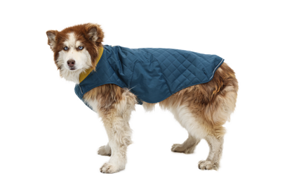 Stumptown™ Quilted Dog Vest