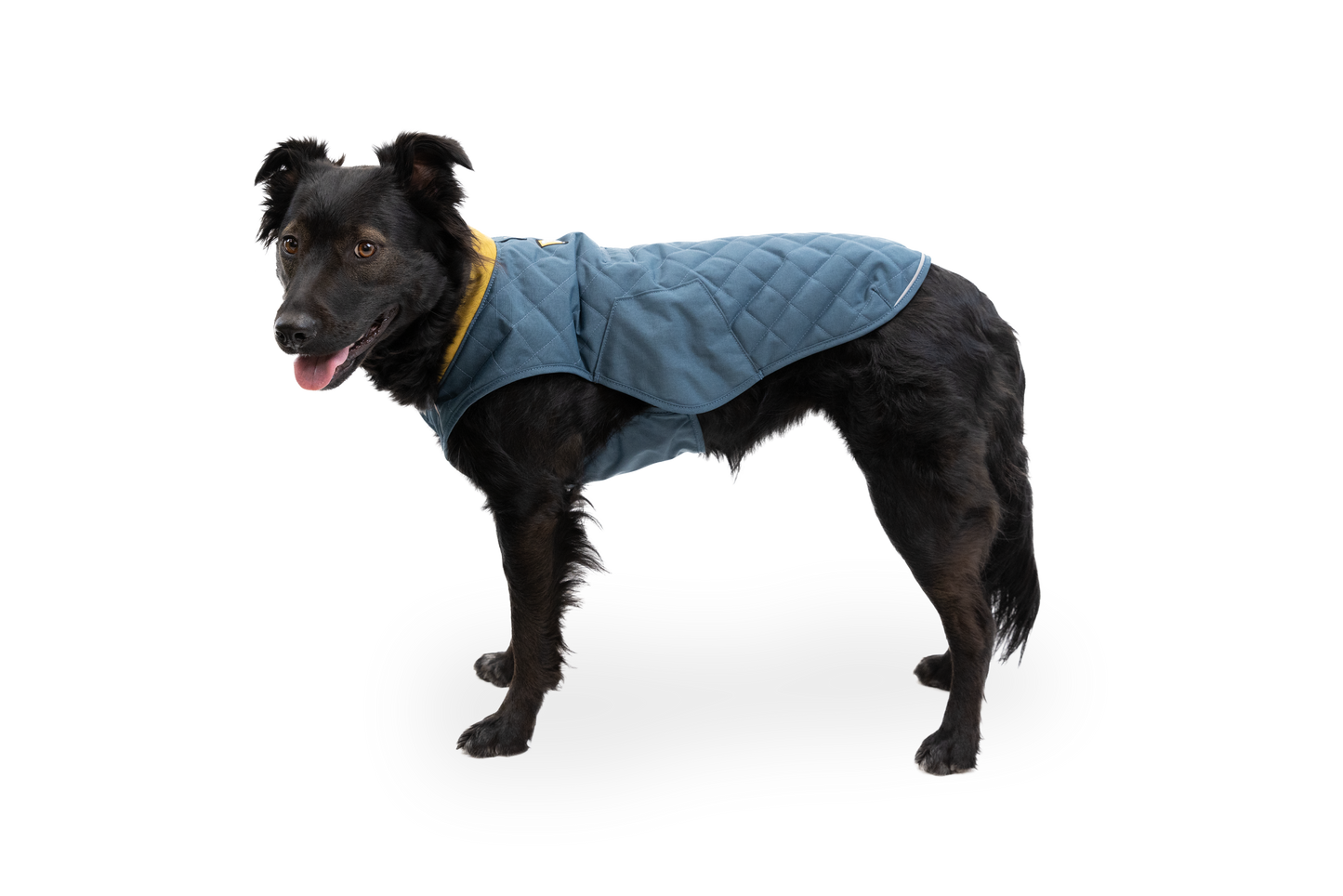 Stumptown™ Quilted Dog Vest