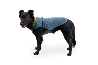 Stumptown™ Quilted Dog Vest