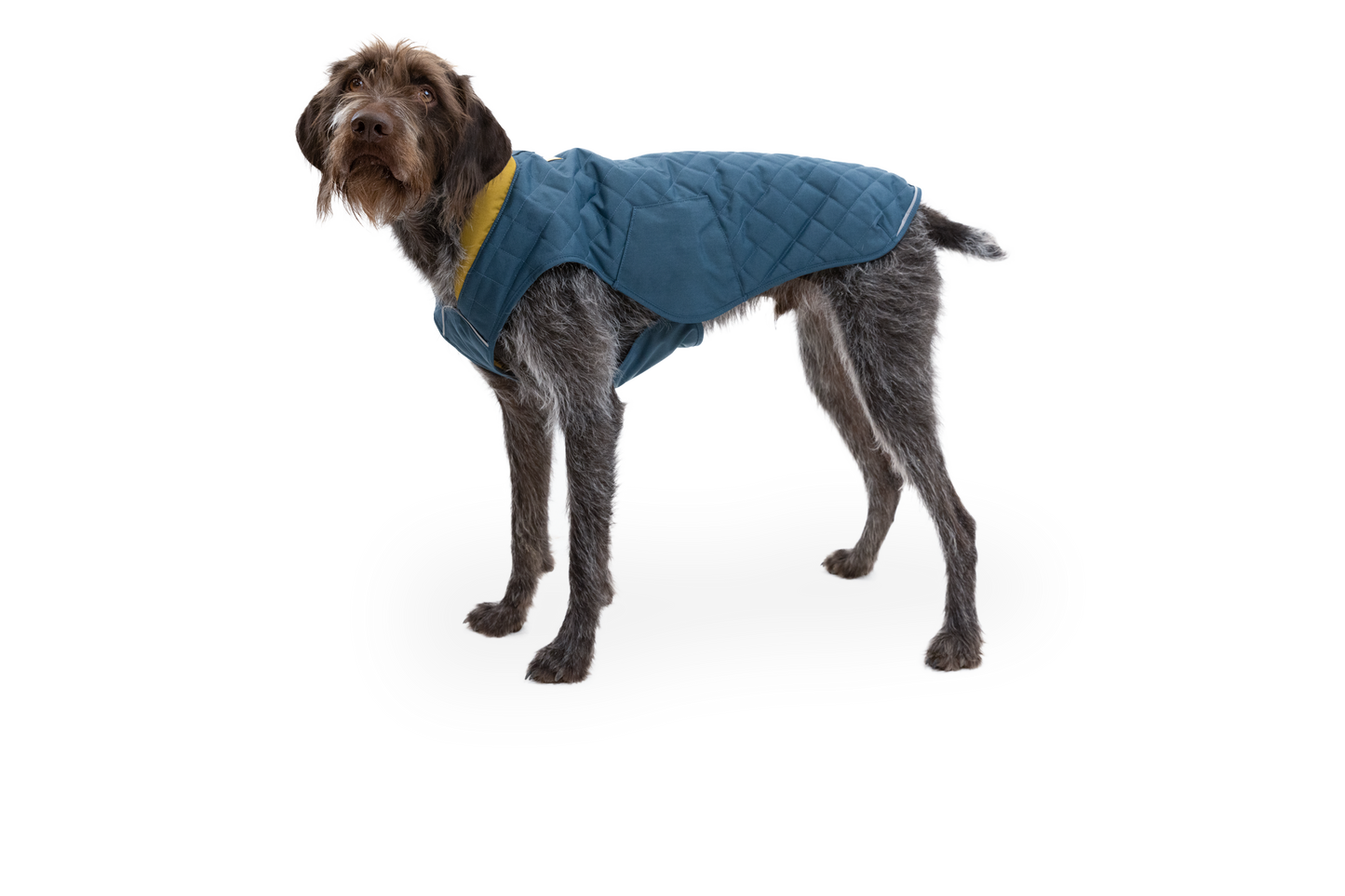 Stumptown™ Quilted Dog Vest