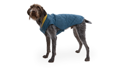 Stumptown™ Quilted Dog Vest