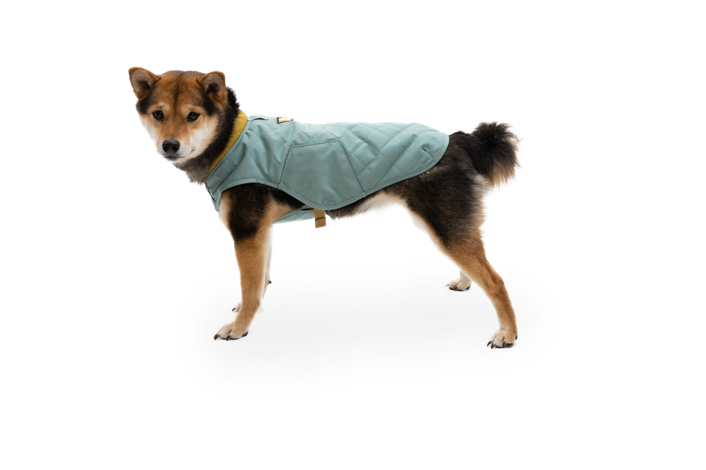 Stumptown™ Quilted Dog Vest