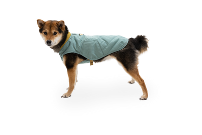 Stumptown™ Quilted Dog Vest