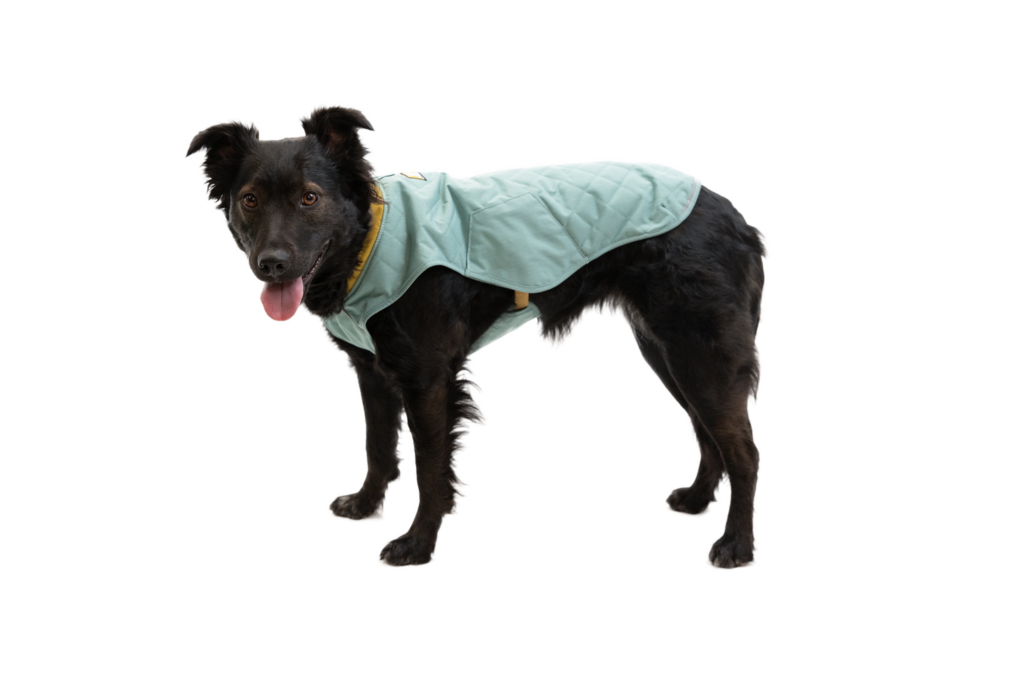 Stumptown™ Quilted Dog Vest