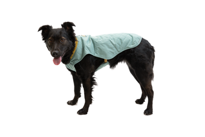 Stumptown™ Quilted Dog Vest