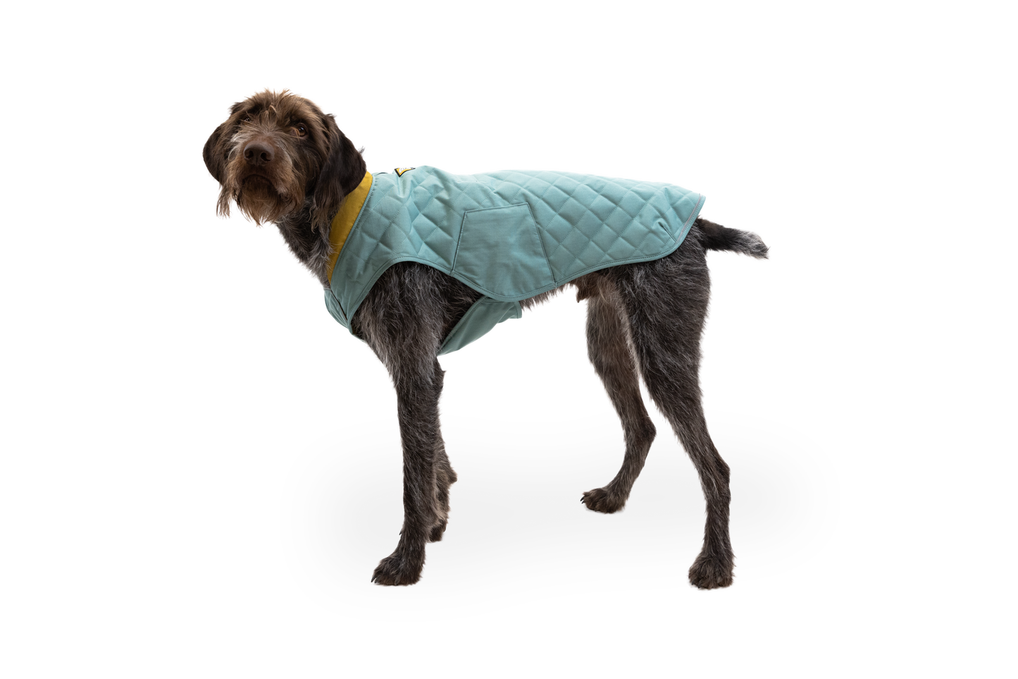 Stumptown™ Quilted Dog Vest