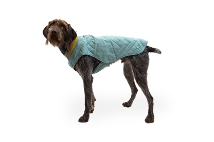 Stumptown™ Quilted Dog Vest