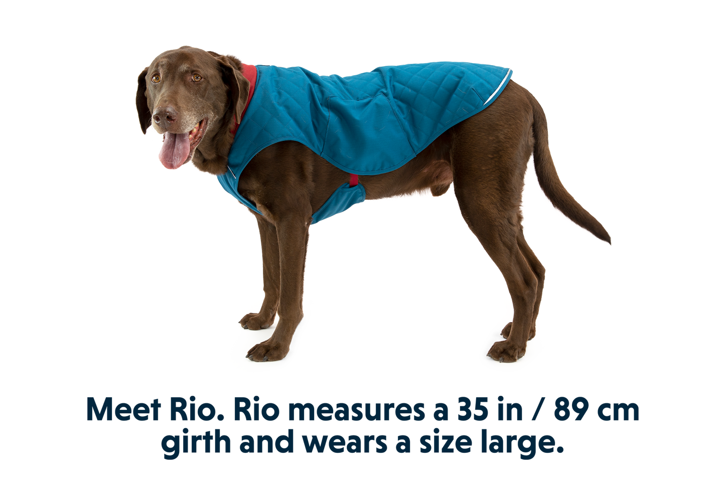 Stumptown™ Quilted Dog Vest