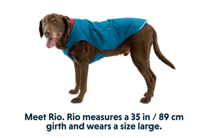 Stumptown™ Quilted Dog Vest