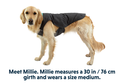 Stumptown™ Quilted Dog Vest