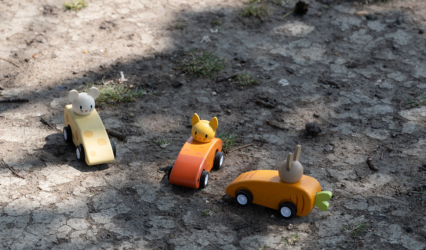 Animal Friends Racing cars