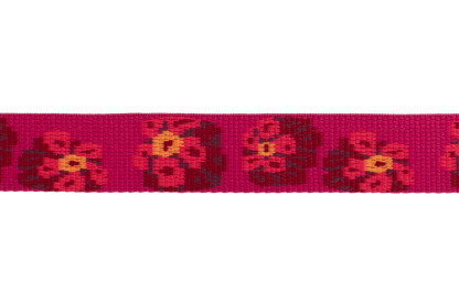 Flat Out™ Dog Collar