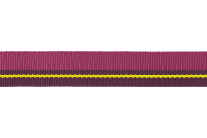 Flat Out™ Dog Collar