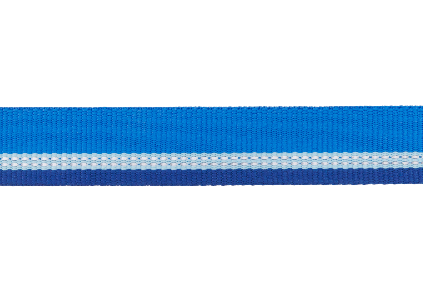 Top Rope™ Metal Buckle Dog Collar
