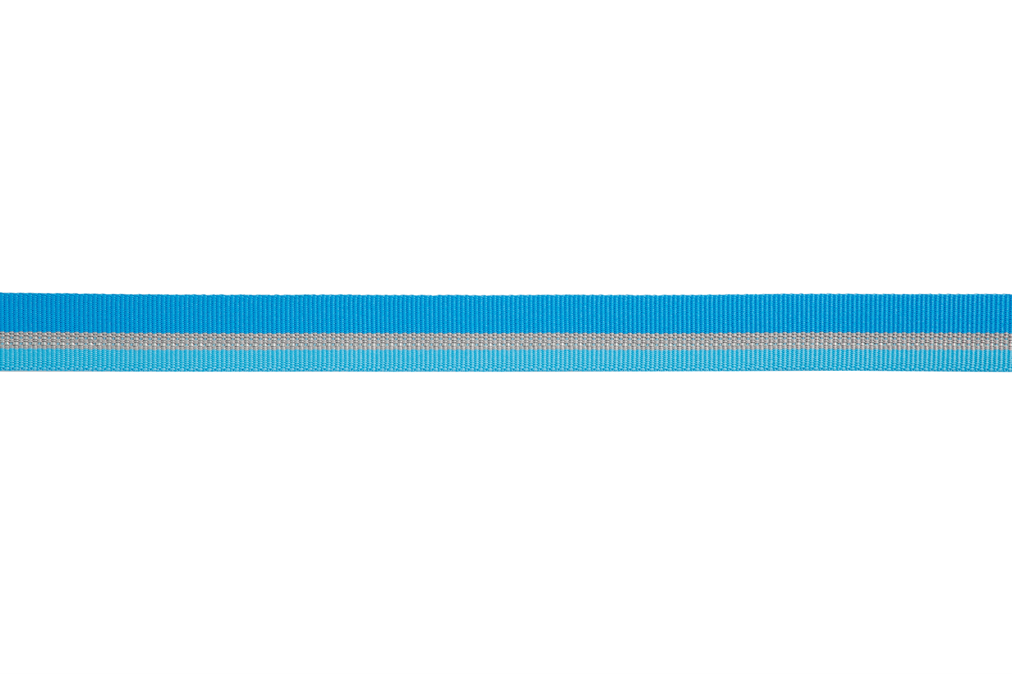 Web Reaction™ Martingale Dog Collar With Buckle