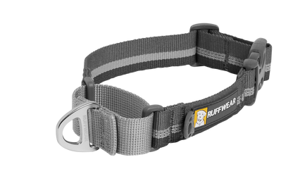 Web Reaction™ Martingale Dog Collar With Buckle