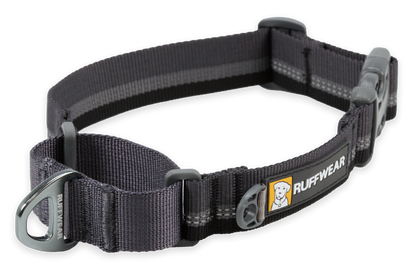Web Reaction™ Martingale Dog Collar With Buckle