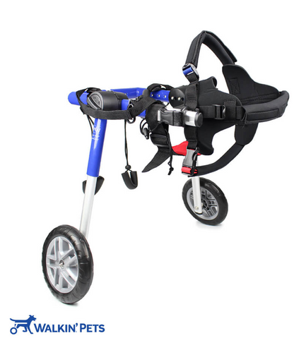 Walkin Wheels® MEDIUM Rear Dog Wheelchair (11 to 30kg)