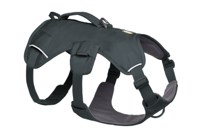 Web Master™ Dog Harness with Handle