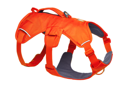 Web Master™ Dog Harness with Handle