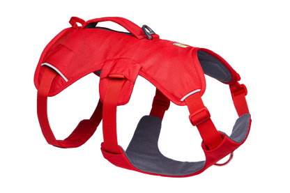 Web Master™ Dog Harness with Handle