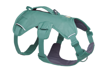 Web Master™ Dog Harness with Handle