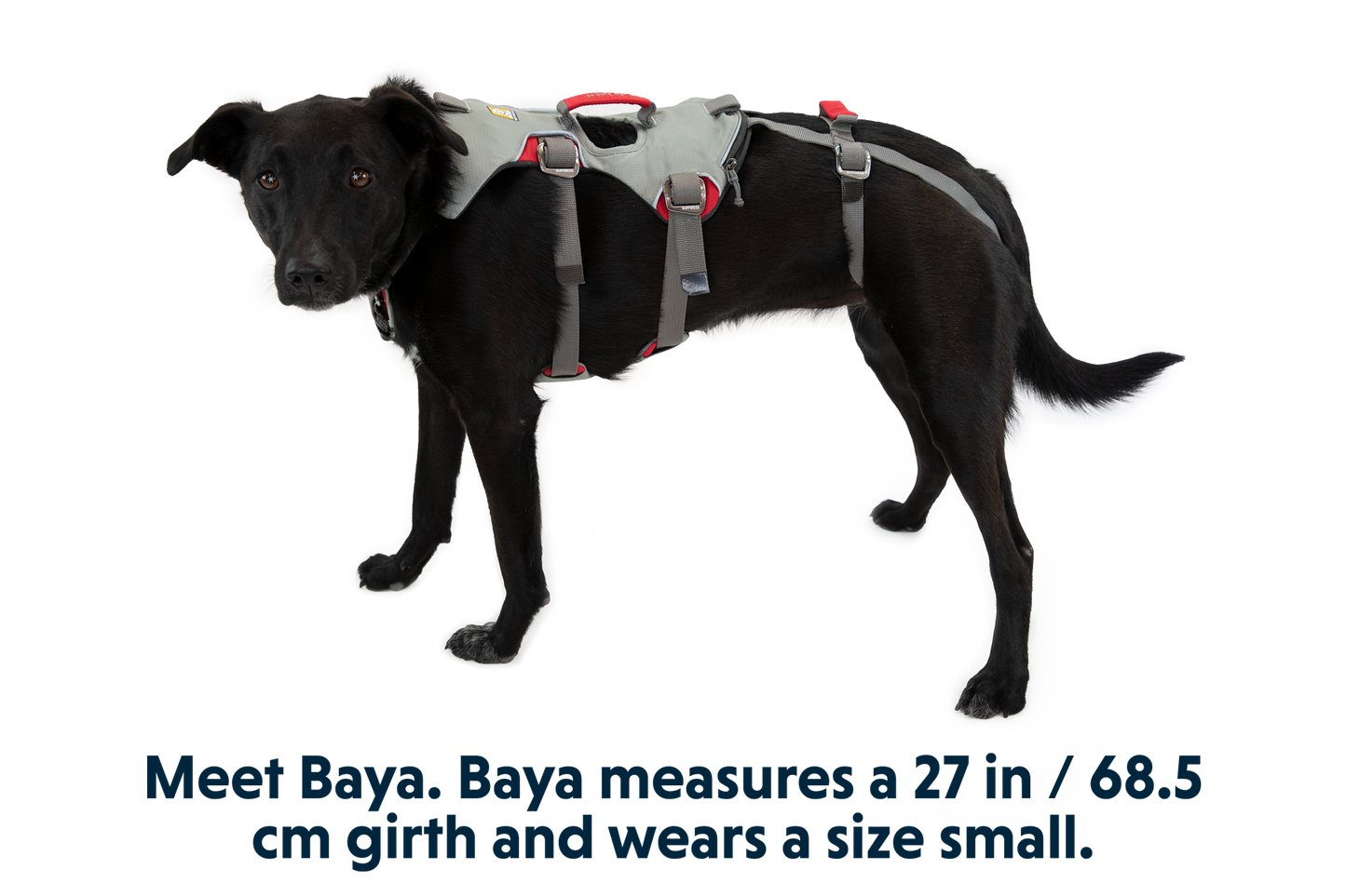 Doubleback™ Full Body Dog Harness