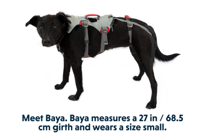 Doubleback™ Full Body Dog Harness
